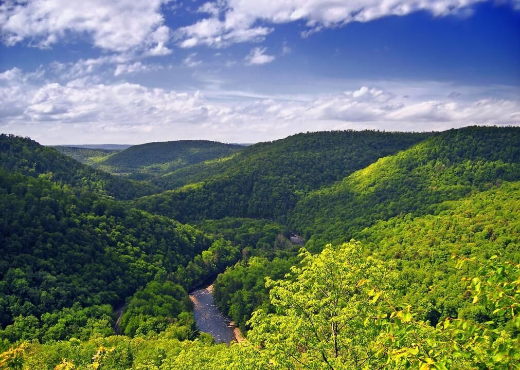 #4. Sullivan County